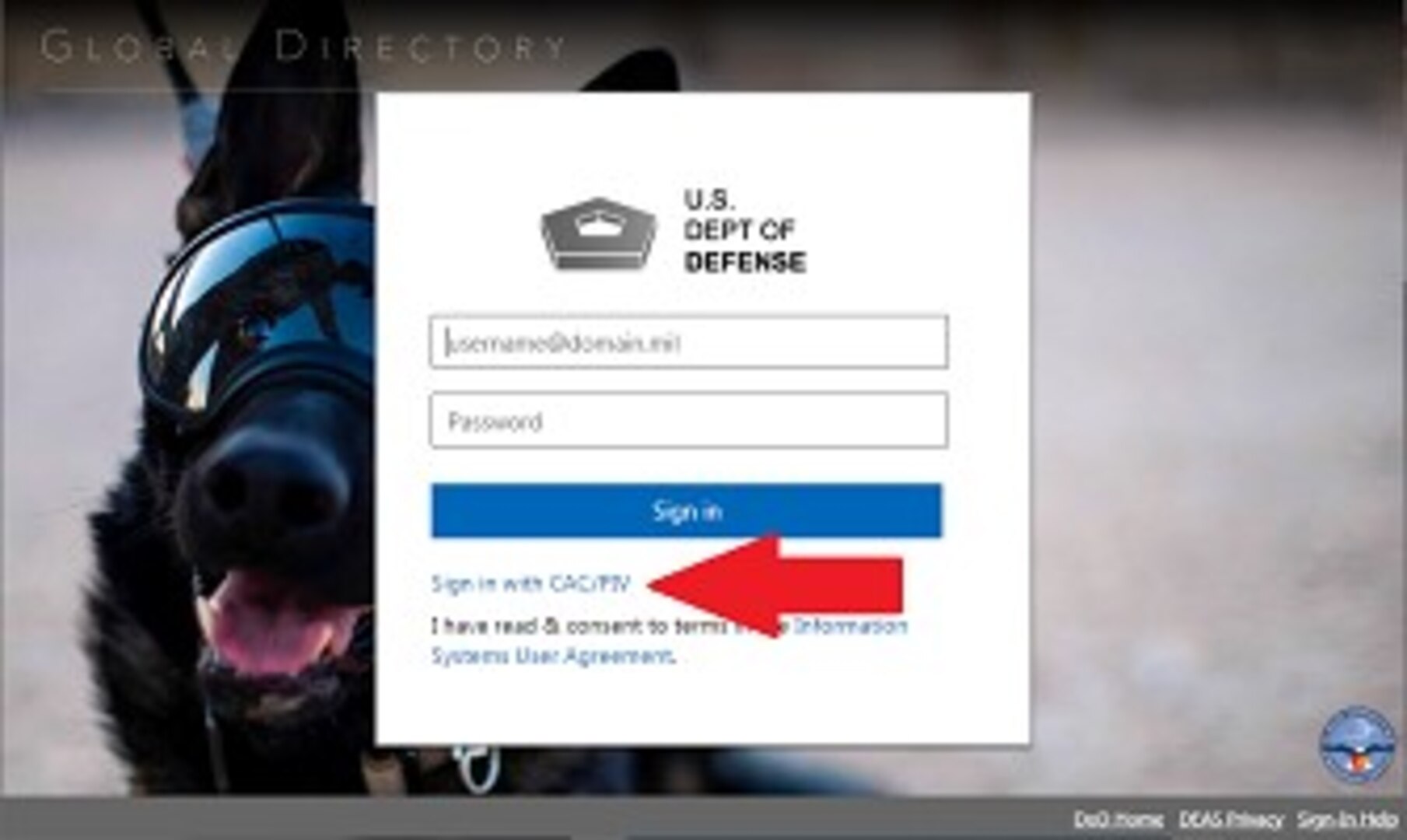 New Access DoD365 On Your Personal Computer United States Coast 