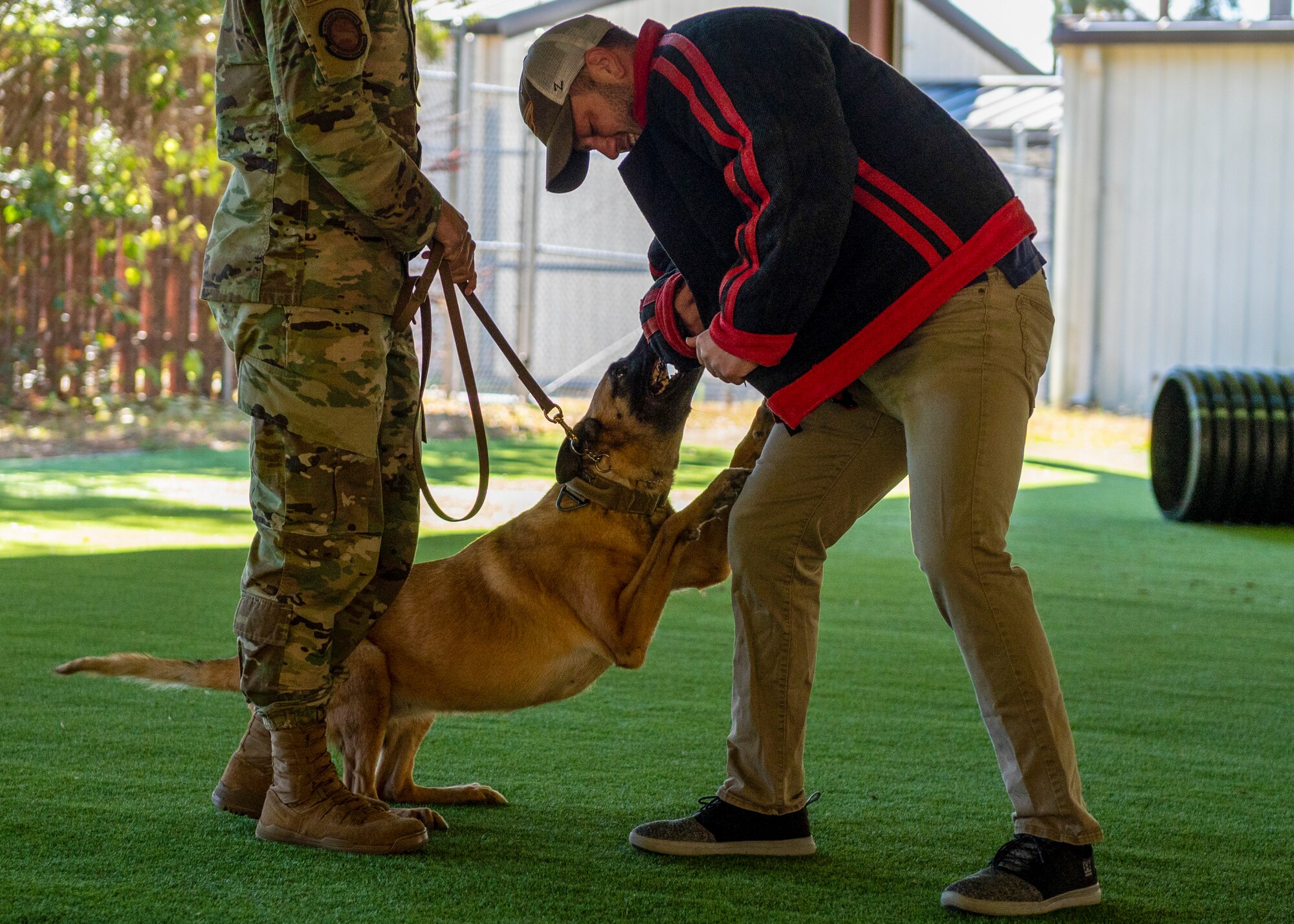 Military working dog Tessa, performs her last bite on Staff Sgt. Jacob Cokkinias, 4th Security Forces Squadron MWD handler, during Tessa’s retirement ceremony at Seymour Johnson Air Force Base, North Carolina, Nov. 19, 2021.
