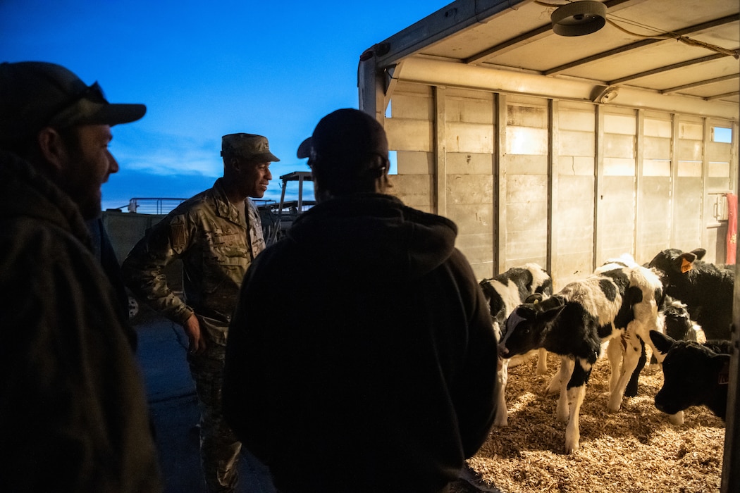 U.S. Air Force Col. Terence Taylor, 27th Special Operations Wing commander, learns about cow-calf operations from Jonathan and Daniel Vander Dussen, Rajen Dairy owners, Dec. 13, 2021, at Rajen Dairy in Clovis, New Mexico. Col. Taylor visited the Vander Dussen brothers in order to gain first-hand knowledge about how PFAS water contamination affected surrounding agricultural facilities, which the Air Force Civil Engineer Center reported to the New Mexico Environment Department in 2018. The Air Force Civil Engineer Center is utilizing various avenues of investigations, interagency collaboration, and direct community feedback in order to best address PFAS environmental issues surrounding Cannon AFB.