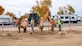 The 412th Force Support Squadron and 412th Civil Engineer Group officially began work to expand the FamCamp following a groundbreaking ceremony on Edwards Air Force Base, California, Dec. 6. (Air Force photo by Katherine Franco)