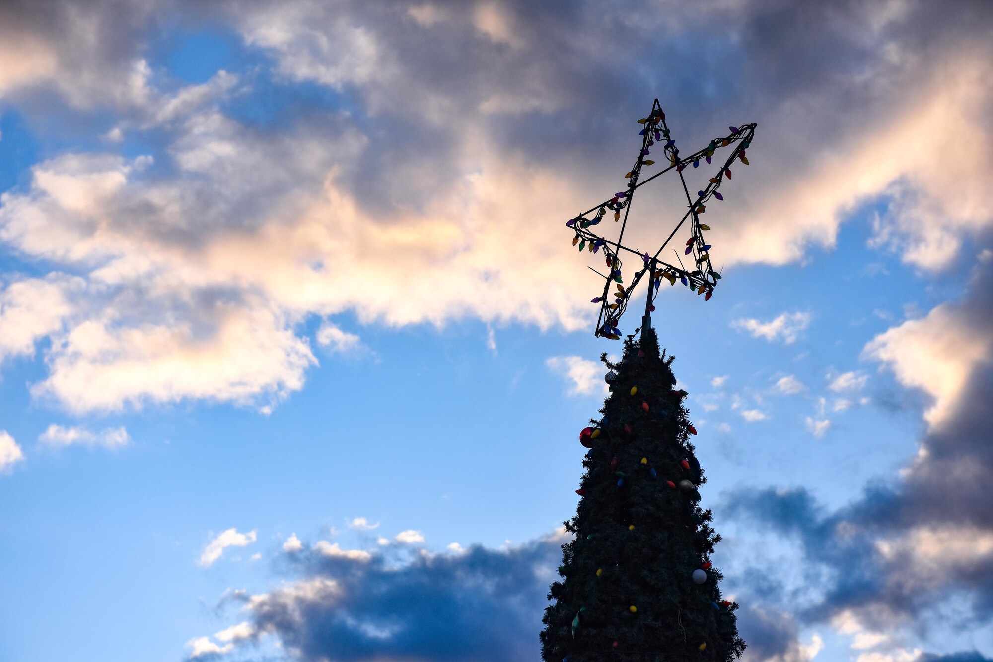 A Christmas tree is set up.