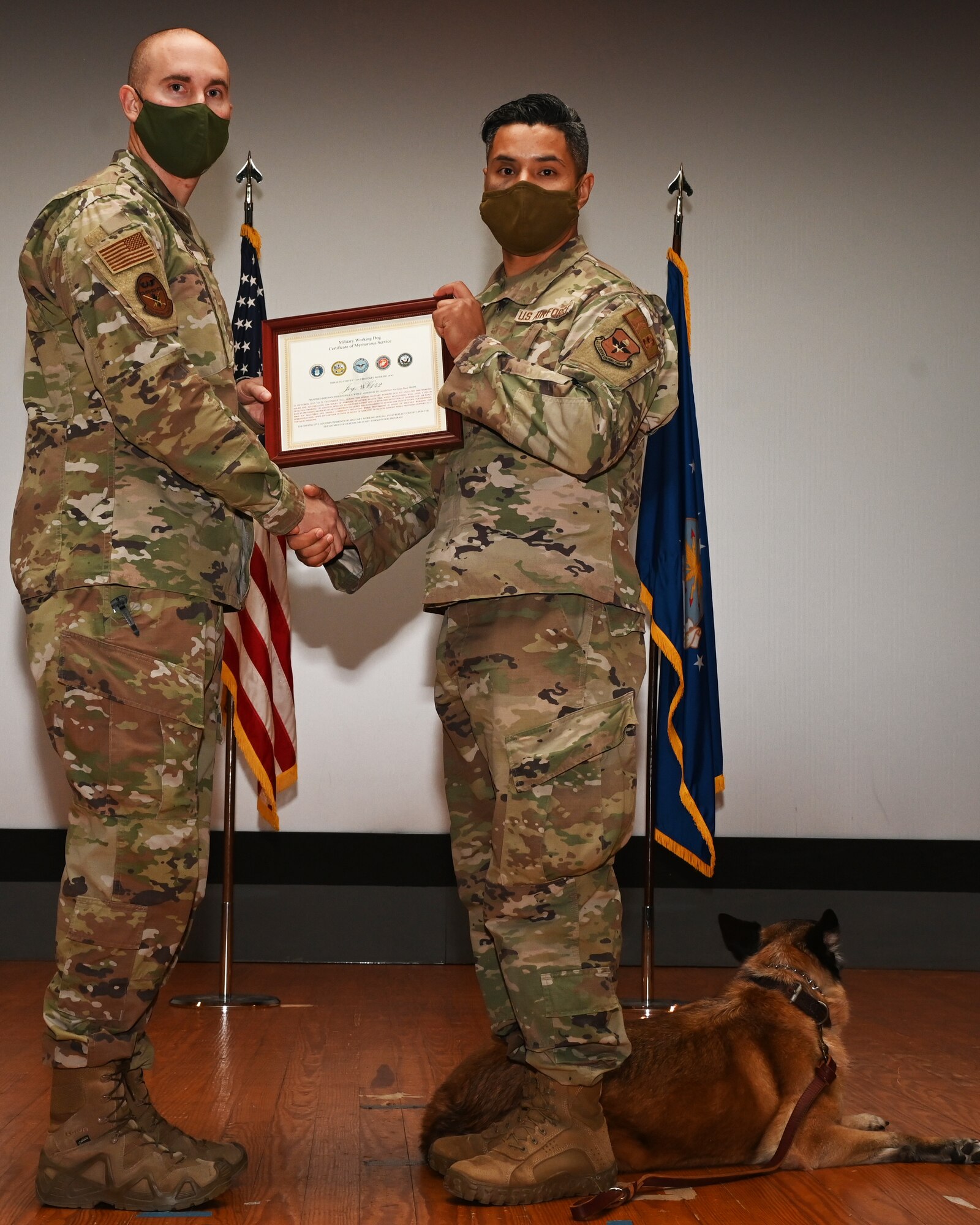 17th Security Forces Squadron Military Working Dog Joy is recognized during her retirement ceremony at the theater on Goodfellow Air Force Base, Dec. 20. Joy spent eight years working as the only narcotics detection dog on Goodfellow AFB. (U.S. Air Force photo by Senior Airman Michael Bowman)