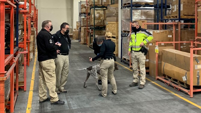 Members of the Utah Transit Authority and Transportation Security Administration explosive detection dog teams conduct a joint training exercise inside a warehouse.