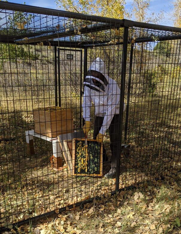 Kyle Sisco, natural resources specialist, outfitted in his beekeeper suit, opens the top of the hive, and takes out one of the frames from the bee hive.
