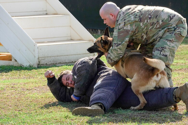 Staff Sgt. Michael Alcala and Staff Sgt. Dakota Hood, 647th Security Forces Squadron military working dog handlers, along with Joker, 647th SFS military working dog, participate in a K-9 demonstration at Joint Base Pearl Harbor Hickam, Hawaii, Jan. 14, 2021. Military working dogs as well as their handlers go through extensive training to be able to work together to complete the mission. (U.S. Air Force photo by Airman 1st Class Makensie Cooper)