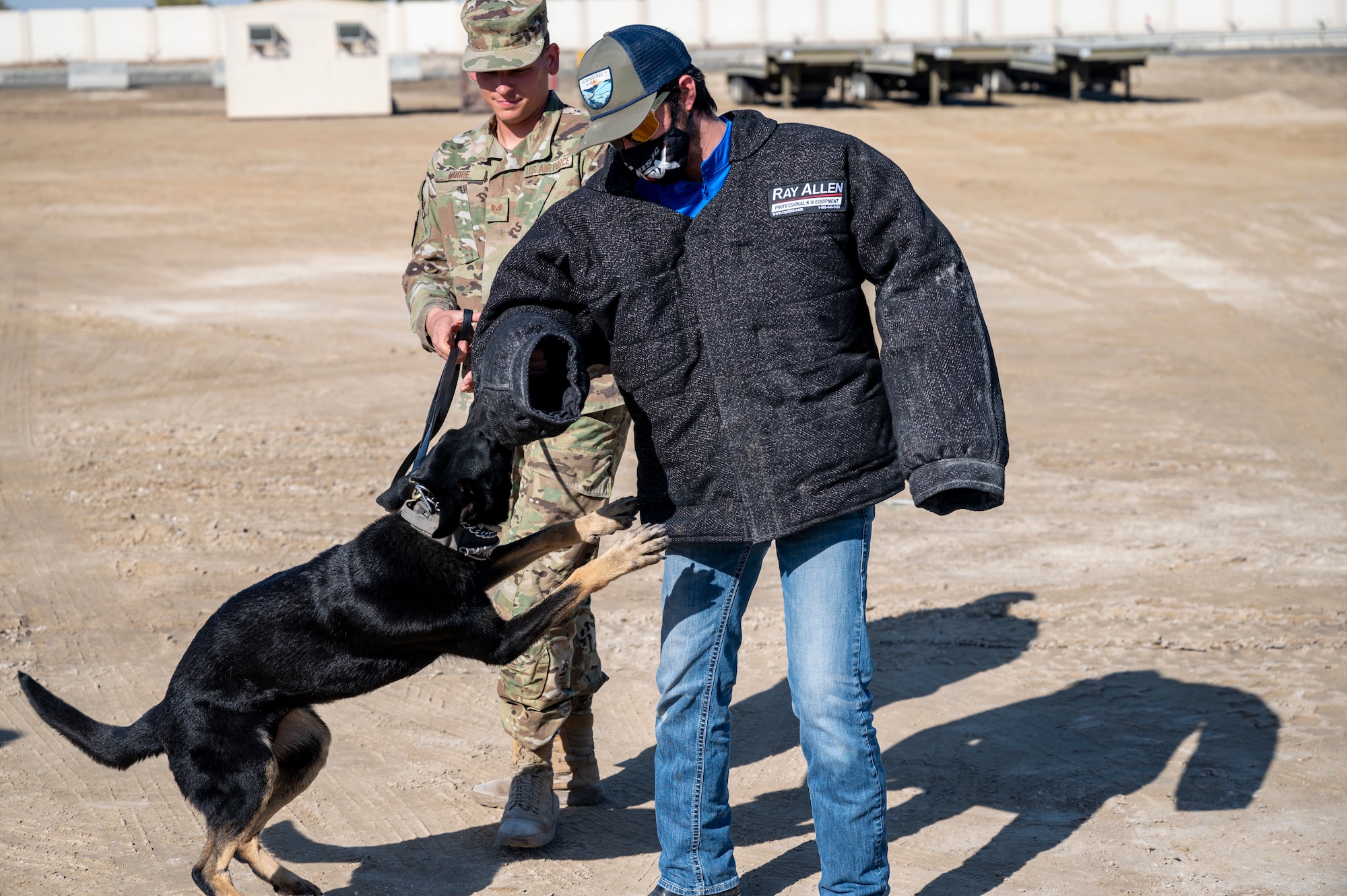 American singer Laine Hardy gets bitten by a military working dog (MWD) during a tour through the 380th Expeditionary Security Forces Squadron at Al Dhafra Air Base, United Arab Emirates, Jan. 28, 2021.
