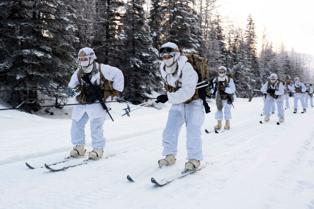 Soldiers hold on to a rope while skiing.