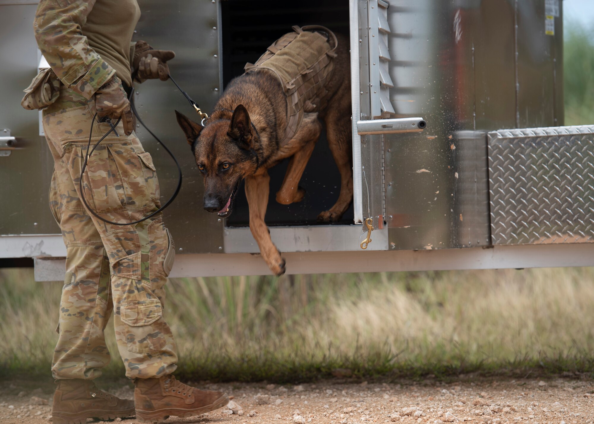 LACW Christina Smith, 2 Security Forces Squadron Tindal, Australia, military working dog handler, takes her dog out of his kennel during Pacific Defender 21-1 at Andersen Air Force Base, Guam, January 27 2021.