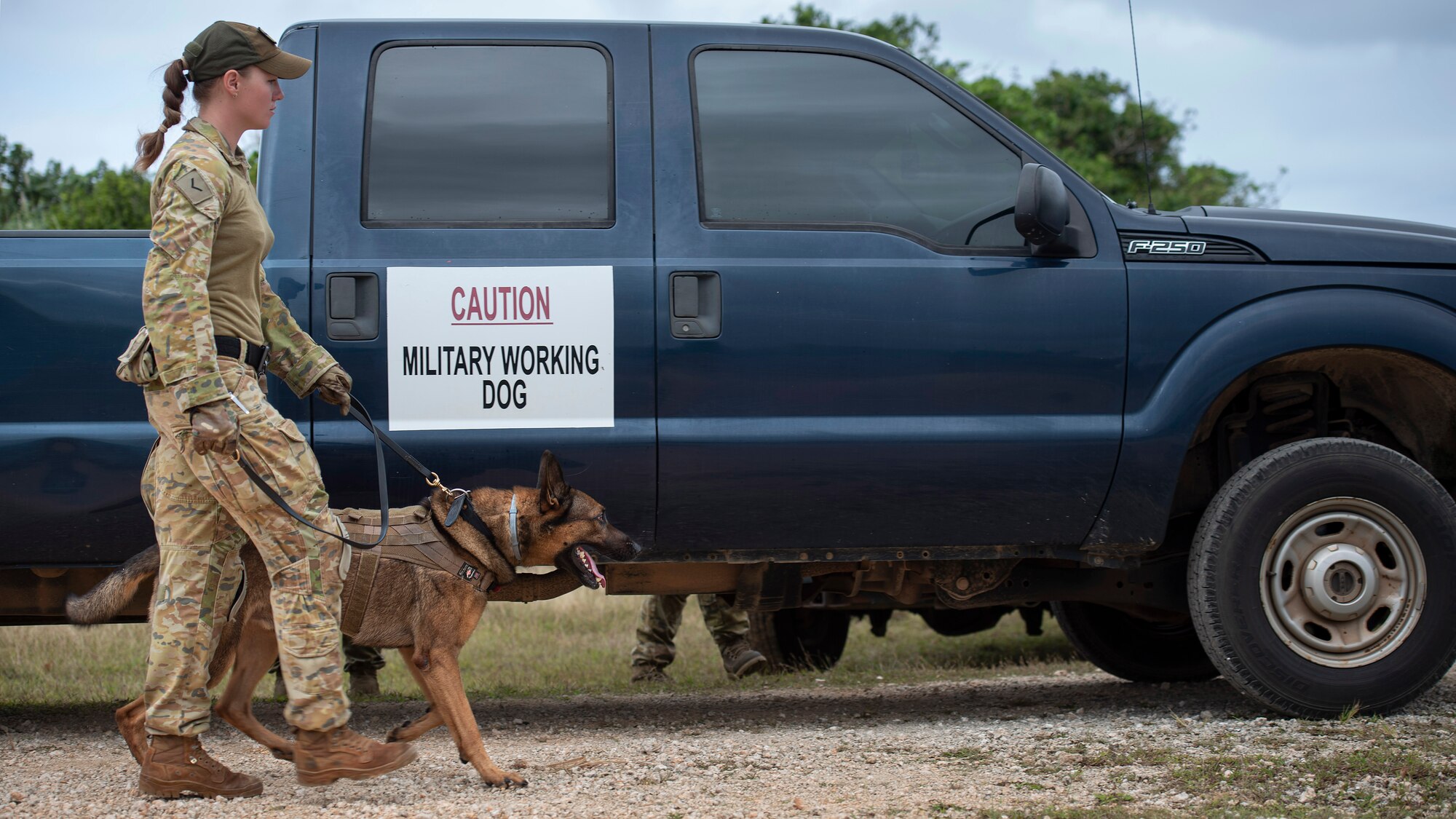 LACW Christina Smith, 2 Security Forces Squadron Tindal, Australia, military working dog handler, walks her dog during Pacific Defender 21-1 at Andersen Air Force Base, Guam, January 27 2021.