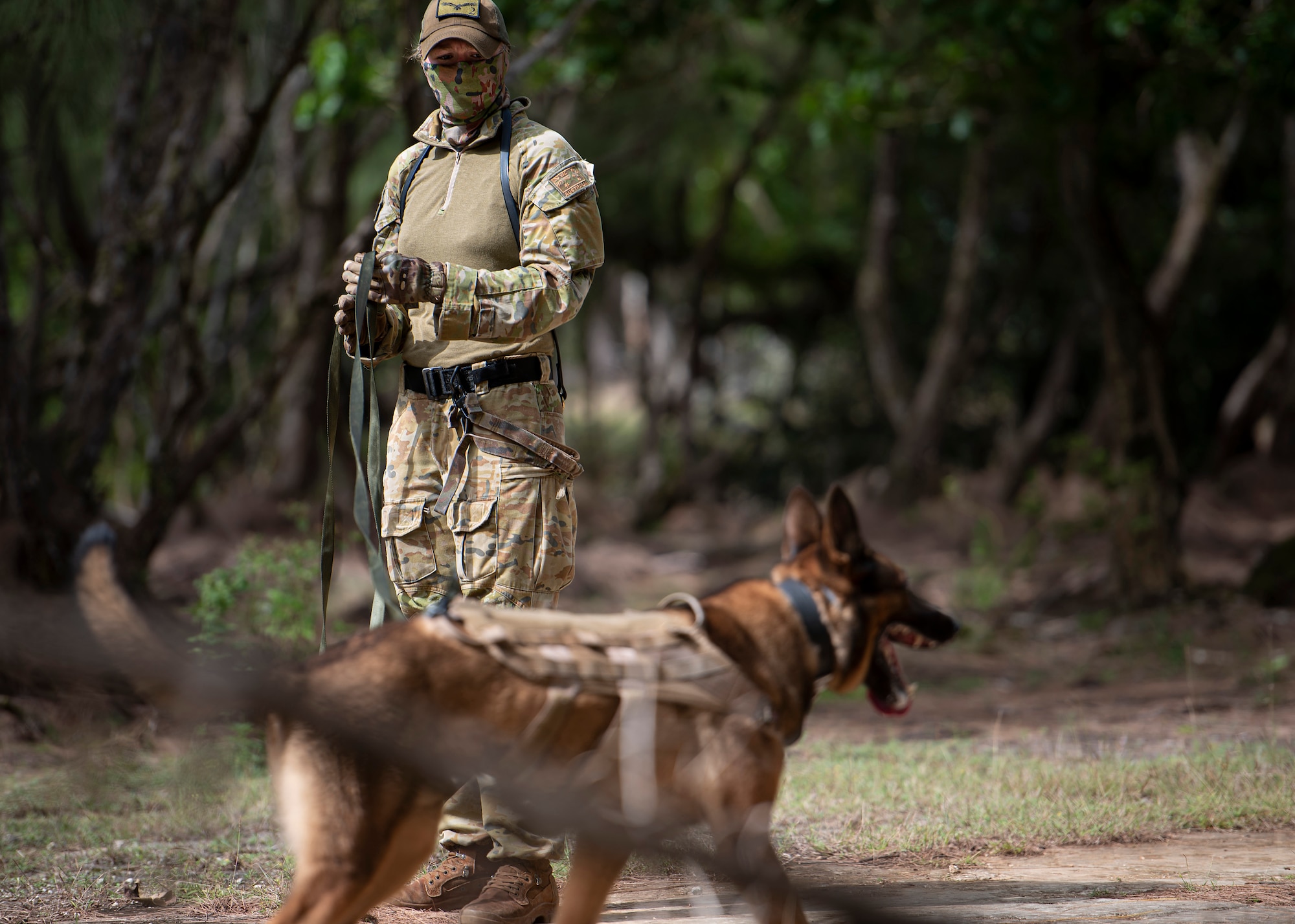 LACW Christina Smith, 2 Security Forces Squadron Tindal, Australia, military working dog handler, takes a momentary break with her dog during Pacific Defender 21-1 at Andersen Air Force Base, Guam, January 27 2021.