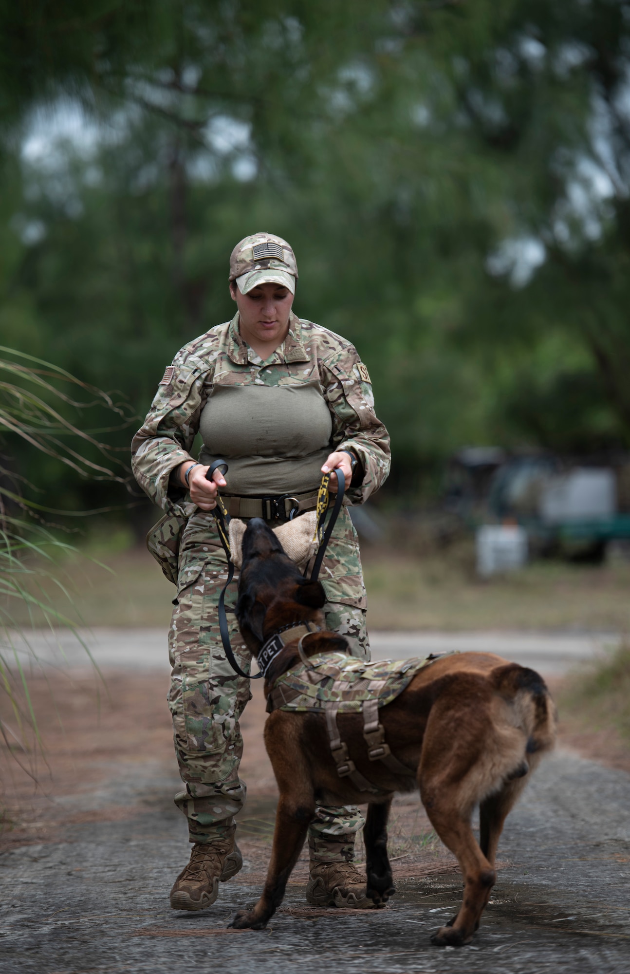 SrA Alexandra Campanaro, 36th Security Forces Squadron military working dog handler, rewards her dog, Harry, during Pacific Defender 21-1 at Andersen Air Force Base, Guam, January 27 2021.