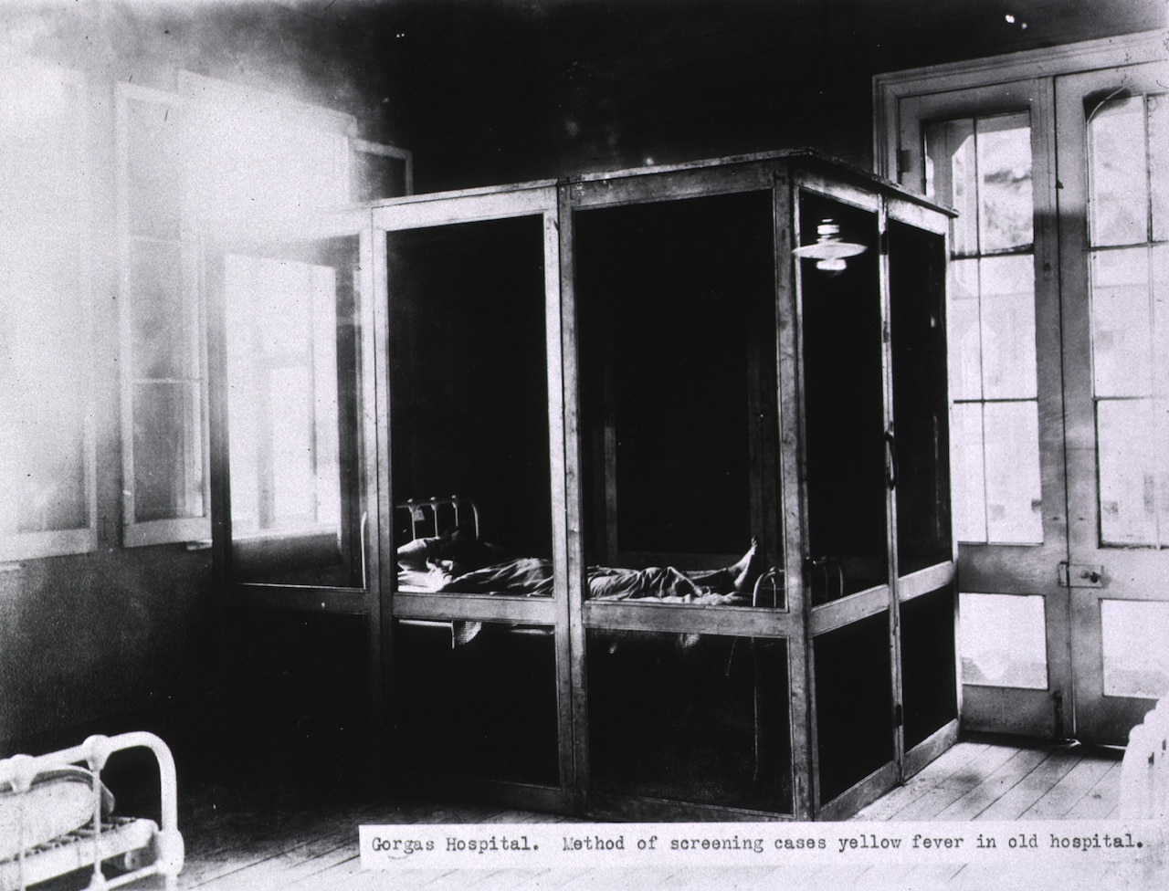 A person lies inside a screened-in room in a bigger room.