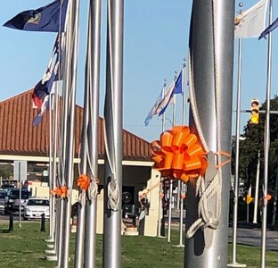 Ribbons hang on  flagpoles at Joint Base San Antonio-Randolph Feb. 1 in observance of Teen Dating Violence Awareness Month. The base brings awareness to teens experiencing violence from current or former partners during the month of February.
