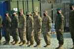The Illinois Army National Guard Bilateral Embedded Support Team (BEST) A25 stand alongside the Polish military contingent during the ILARNG BEST decommissioning ceremony at Bagram Airfield, Afghanistan. Soldiers deployed with BEST A25 returned home Dec. 24.