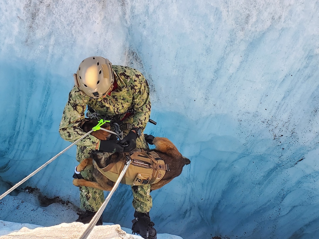 Sailor and multipurpose canine from Naval Special Warfare Group One practice crevasse self-recovery techniques during austere high-altitude environment training, at Knik Glacier, Alaska, September 11, 2020