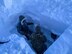 Survival, evasion, resistance and escape (SERE) specialists dig a snow cave at Utqiaġvik (Barrow), Alaska, Jan. 12, 2021.