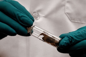 A hand in a blue glove holds a clear test tube with a brown unidentifiable object in it