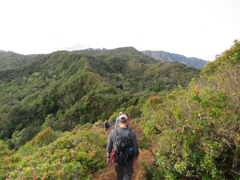 U.S. Army Engineer Research and Development Center (ERDC), Construction Engineering Research Laboratory (CERL), Threatened and Endangered Species program and collaborators traverse field sites in Oahu, Hawaii, March 23, 2018. The collaborative efforts of the ERDC-CERL’s team help establish the Department of Defense’s ability to properly train on military installations and balance ecosystem health. (U.S. Army Corps of Engineers photo)