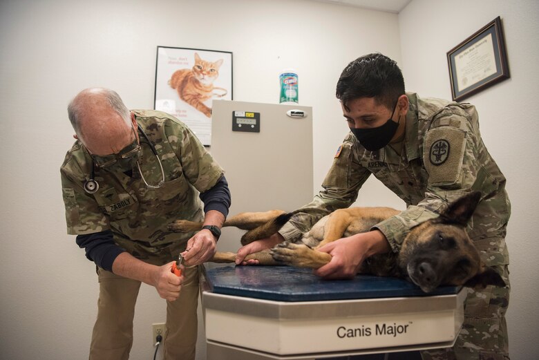 Dr. Carl Zaboly, 30th Space Wing Veterinary Treatment Clinic veterinarian, and U.S. Army Specialist Omar Arenas, 30th Space Wing vet technician, perform a checkup on a personally owned animal January 1, 2021, at Vandenberg Air Force Base, Calif. Dr. Carl Zaboly brings with him over 30 years of veterinary experience to include veterinary experience to include working at racetracks and with police dogs across the country. The veterinary clinic services both military working dogs and horses as well as privately owned animals for base personnel. (U.S. Space Force photo by Senior Airman Hanah Abercrombie)