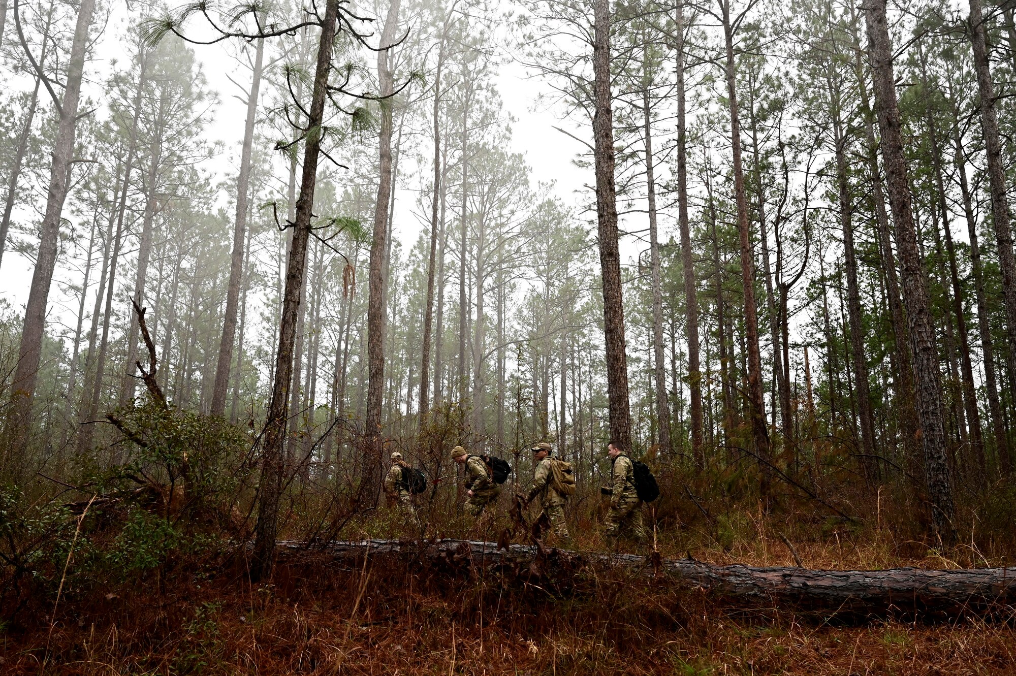A group of people walk through the woods