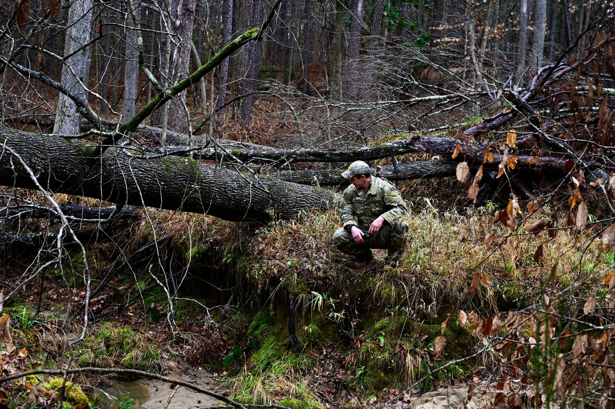 A man crouches in the woods