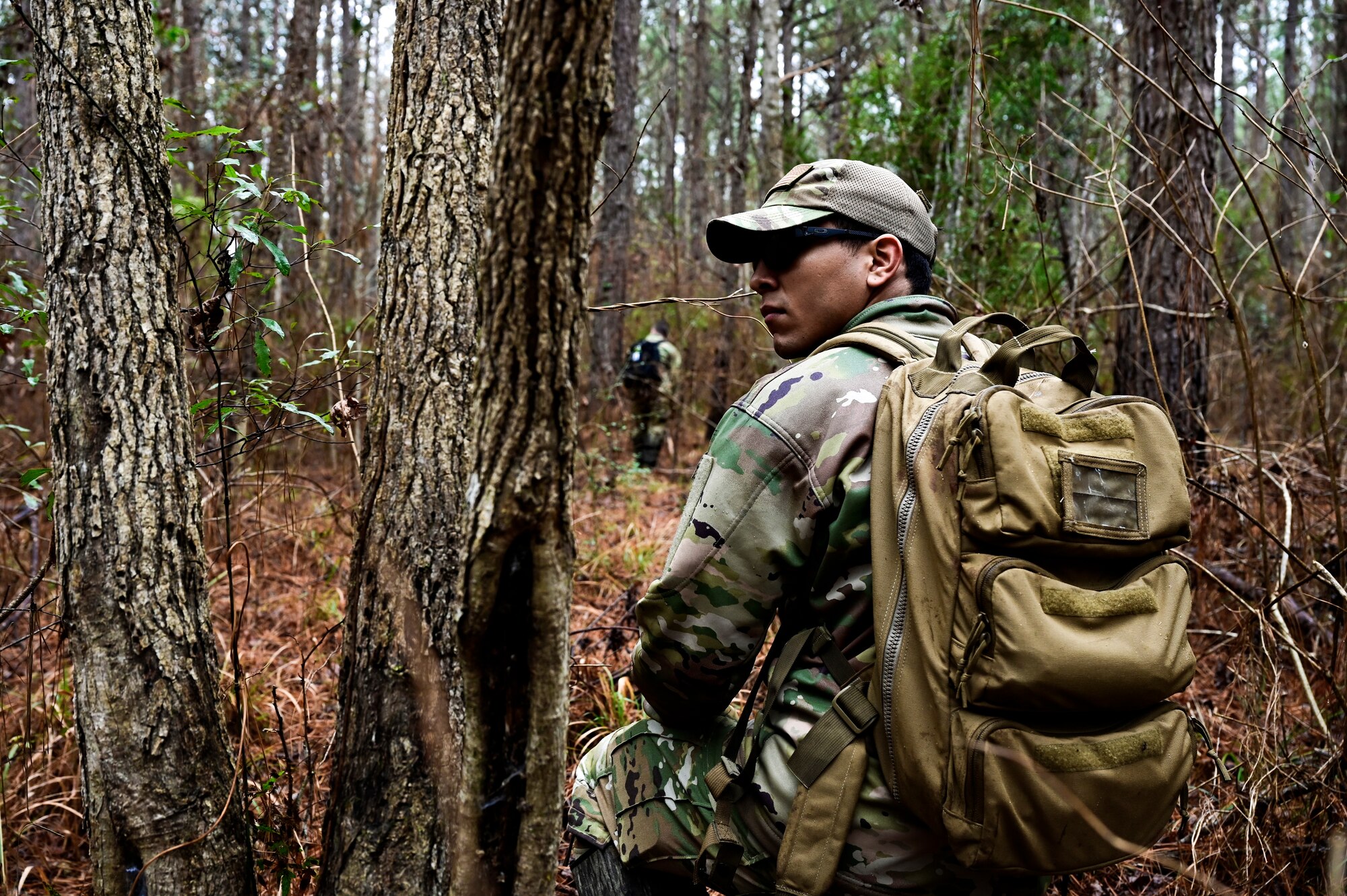 A man walks through the woods