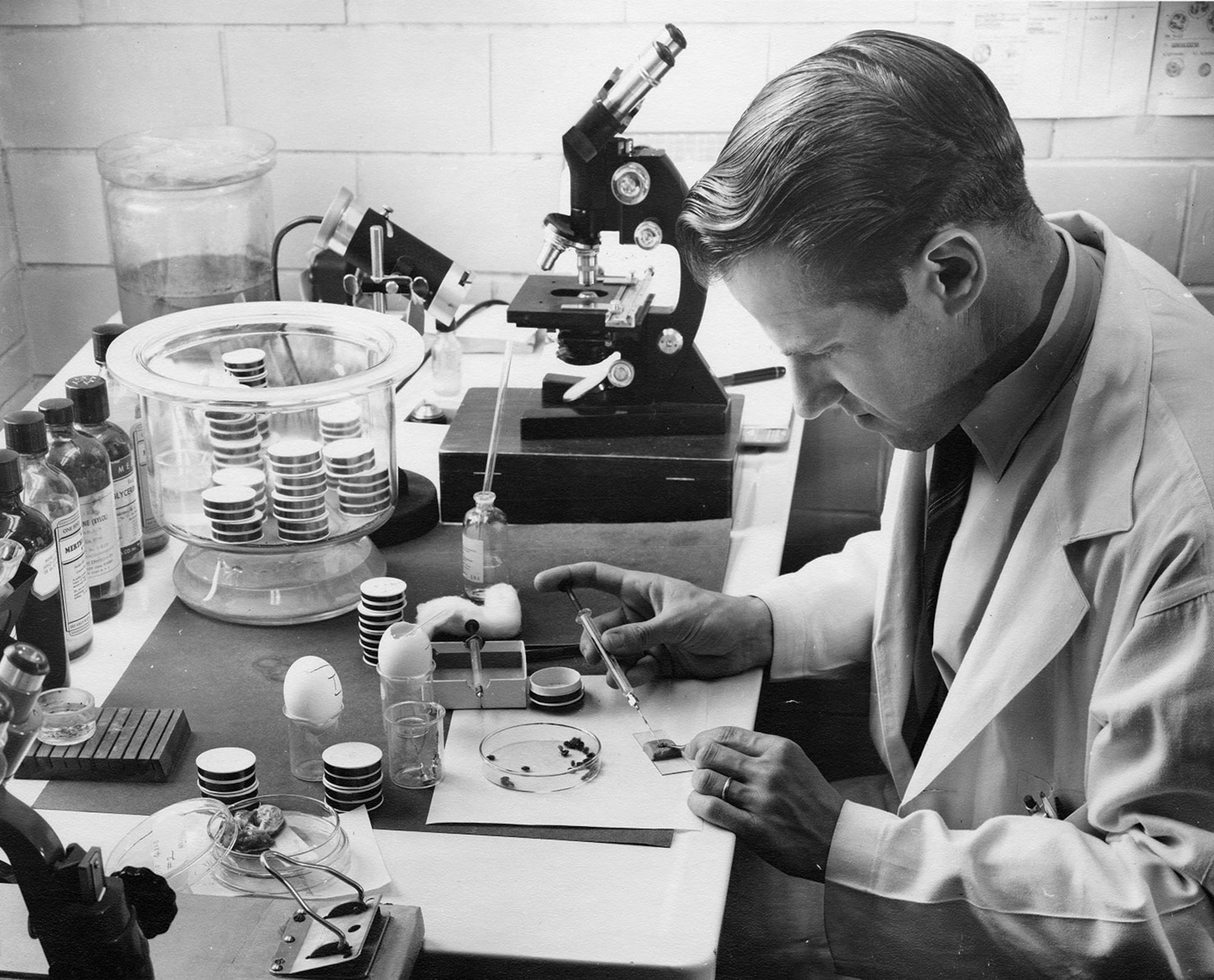 Dr. Willy Burgdorfer inoculating Ornithodoros ticks, May 1954 (Rocky Mountain Laboratories Historical Collection/Nicholas J. Kramis)