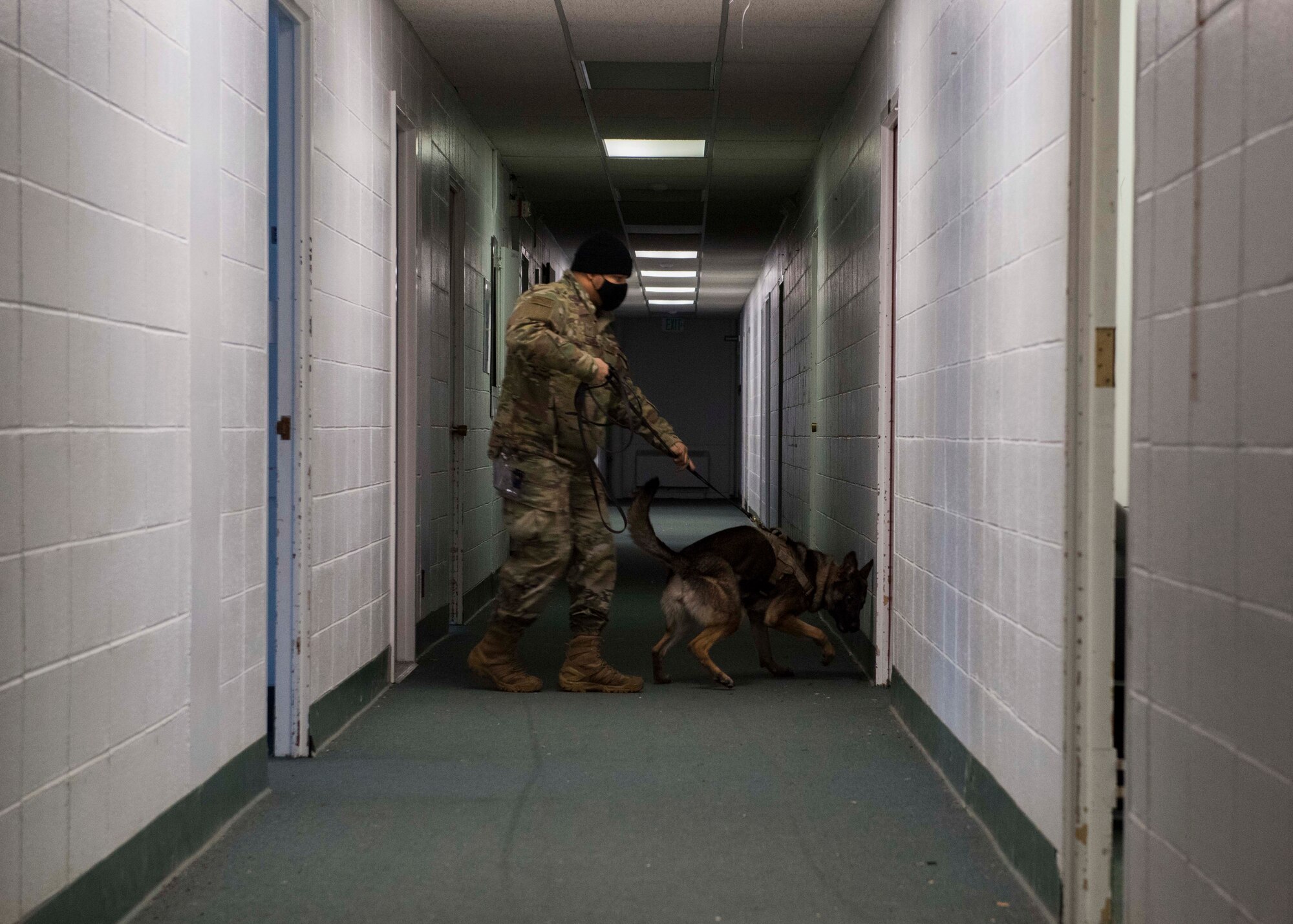 U.S. Air Force Staff Sgt. Dominic Williams, a 673d Security Forces Squadron military working dog (MWD) handler, and MWD Evelyn, a 673d SFS K-9, perform building search training during an immersion with the 673d SFS at Joint Base Elmendorf-Richardson, Alaska, Feb. 2, 2021. The tour familiarized base leadership with the 673d SFS and its role in maintaining the safety of the JBER community and security of the installation and its resources.