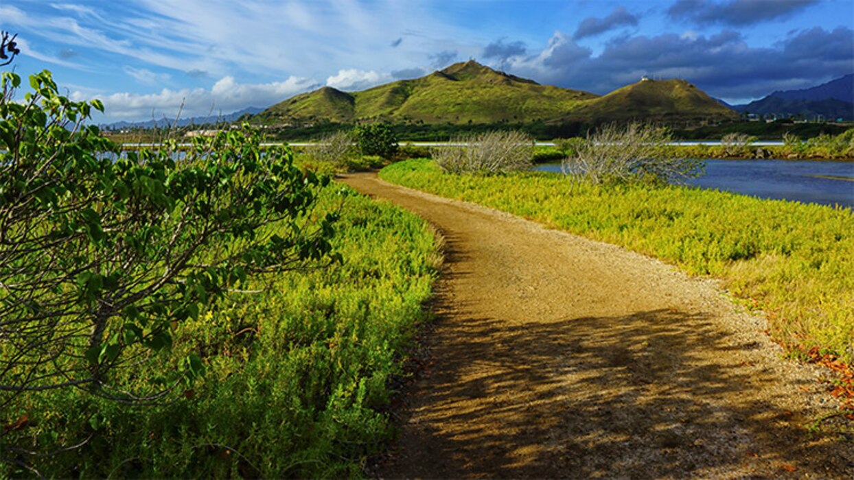 The Nu’upia Ponds Running Trail extends through the Nu’upia Ponds Wildlife Management Area.