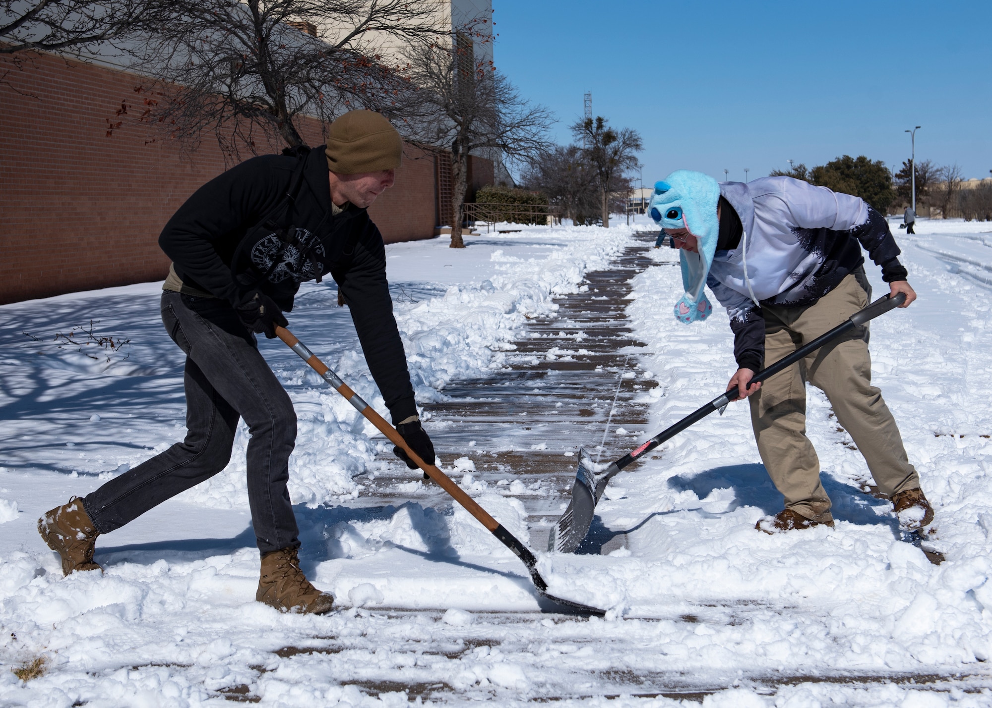 Sheppard recovers from snowstorm