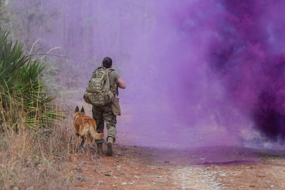 An airman and a military working dog walk through smoke along a path while training.