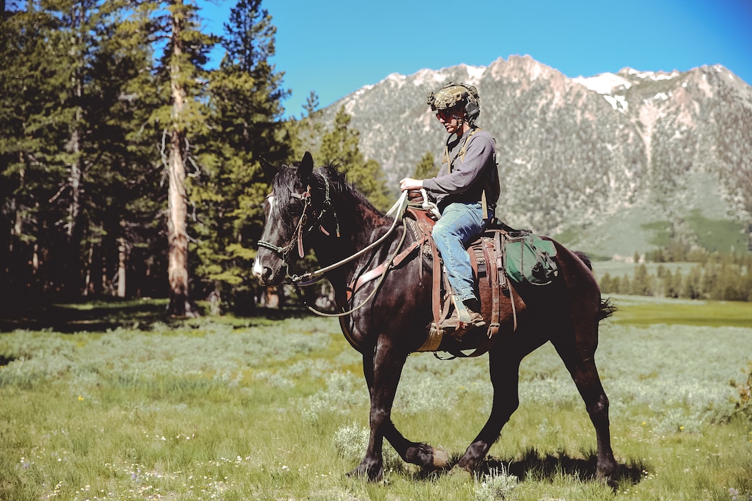 A Marine with 1st Marine Raider Battalion participates in horsemanship training as a part of Special Operations Forces Horsemanship Course aboard Marine Corps Mountain Warfare Training Center, Bridgeport, Calif., June 21, 2018.The purpose of advanced horsemanship course is to teach the Special Operations Forces (SOF) personnel the necessary skills to enable them to ride horses, load pack animals, and maintain animals for military applications in remote and dangerous environments. (U.S. Marine Corps photo by Lance Cpl. William Chockey)