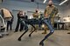 Gen. Arnold W. Bunch, Jr., right, Air Force Materiel Command commander, and Chief Master Sgt. Stanley C. Cadell, AFMC command chief, view a semi-autonomous robot dog at the Northeastern Kostas Research Institute for Homeland Security in Burlington, Mass., Feb 23. During his visit, Bunch toured and received briefings from major Hanscom organizations. (U.S. Air Force photo by Todd Maki)