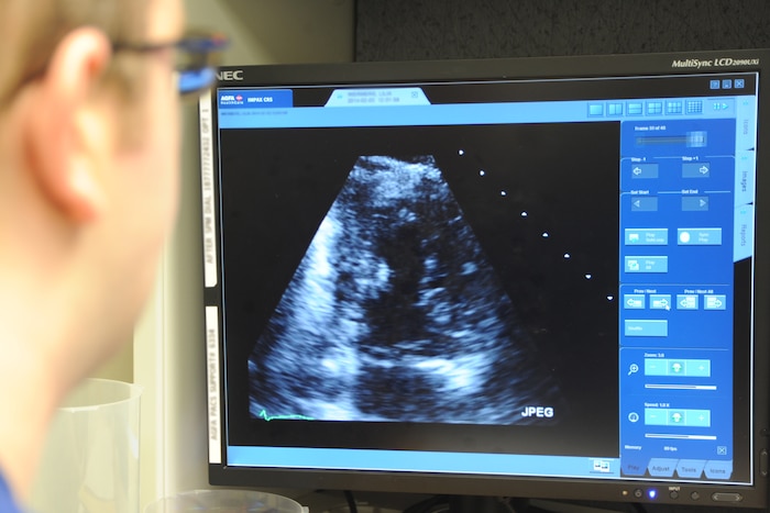 Image of a cardiology technician looking at an X-ray.