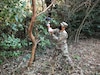 Staff Sgt. Matthew Pascual, noncommissioned officer in charge of entomology for Public Health Command-Pacific in Japan, collects mosquito specimens from a surveillance light trap to test for vector-borne pathogens of human concern on Camp Zama, Japan, Feb. 25, 2021. Collecting vector samples allows for PHC-P scientists to analyze areas of interest for potential vector-borne diseases that could impact the health of the force.