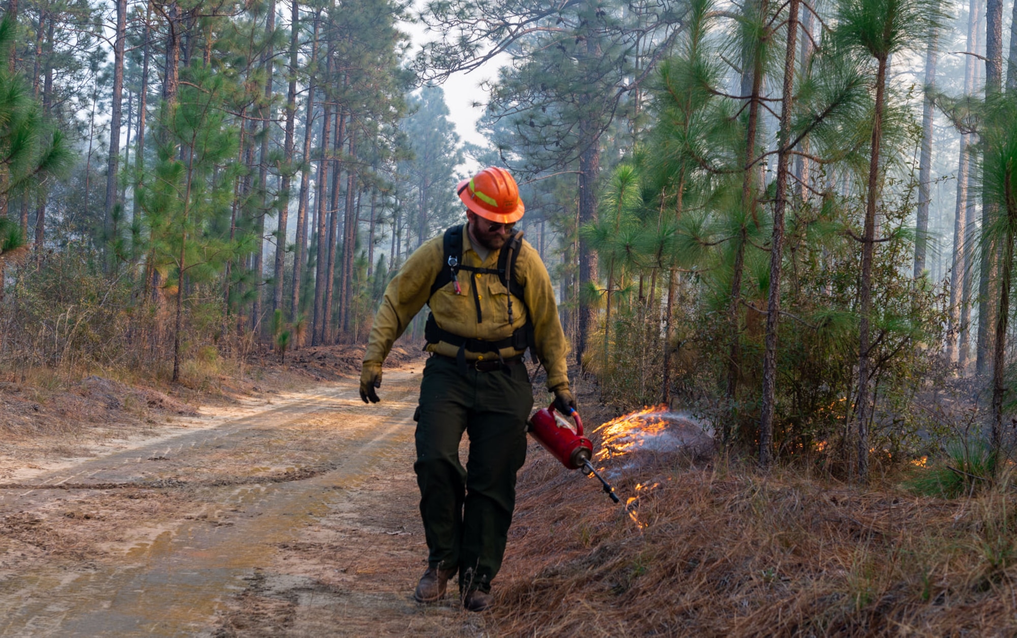 A man walks next to a controlled burn.