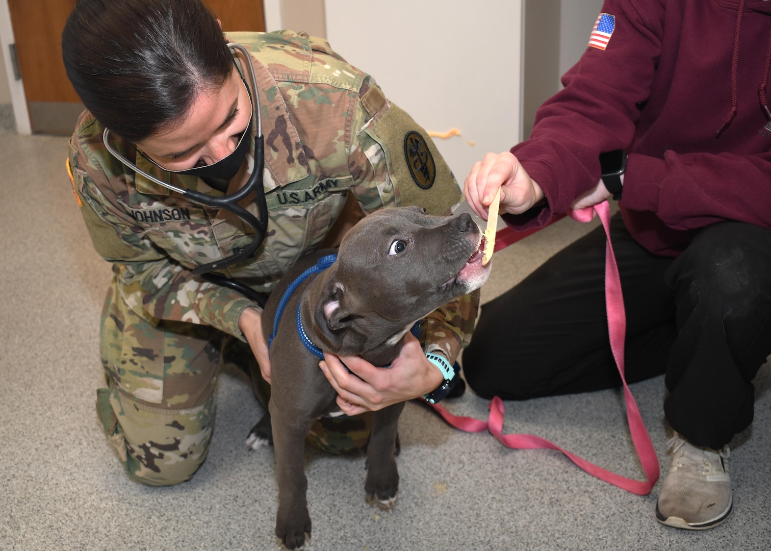 FORT DRUM, N.Y. – Capt. Breanna Johnson, the Fort Drum Veterinary Services branch chief, conducts a wellness check on a dog prior to administering vaccines during the Fort Drum Veterinary Treatment Facility drive-up vaccine clinic on Fort Drum, N.Y., Dec. 28.  The day-long event provided much-needed inoculations and wellness exams to pets while minimizing person-to-person contact.