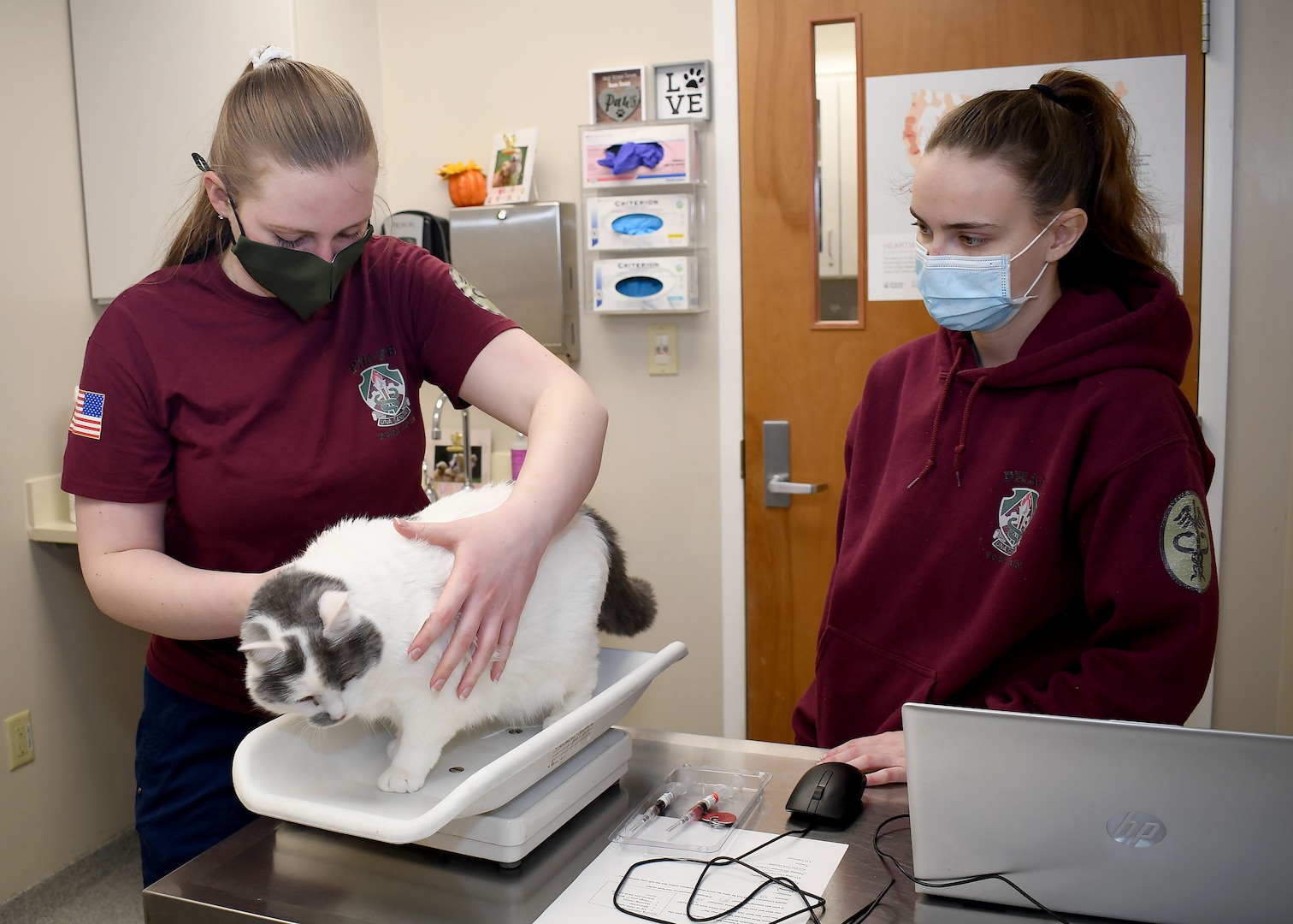 FORT DRUM, N.Y. –  Spc. Emily Rawn (left) and Pfc. Kenna Wildermuth (right), both animal care specialists with the Fort Drum Veterinary Treatment Facility, conduct a wellness check on a cat during the Fort Drum Veterinary Treatment Facility drive-up vaccine clinic on Fort Drum, N.Y., Dec. 28.  To have their pets seen, owners were able to simply drive up to the door, check in with the vet tech, and wait in their vehicle as their pets were cared for inside.