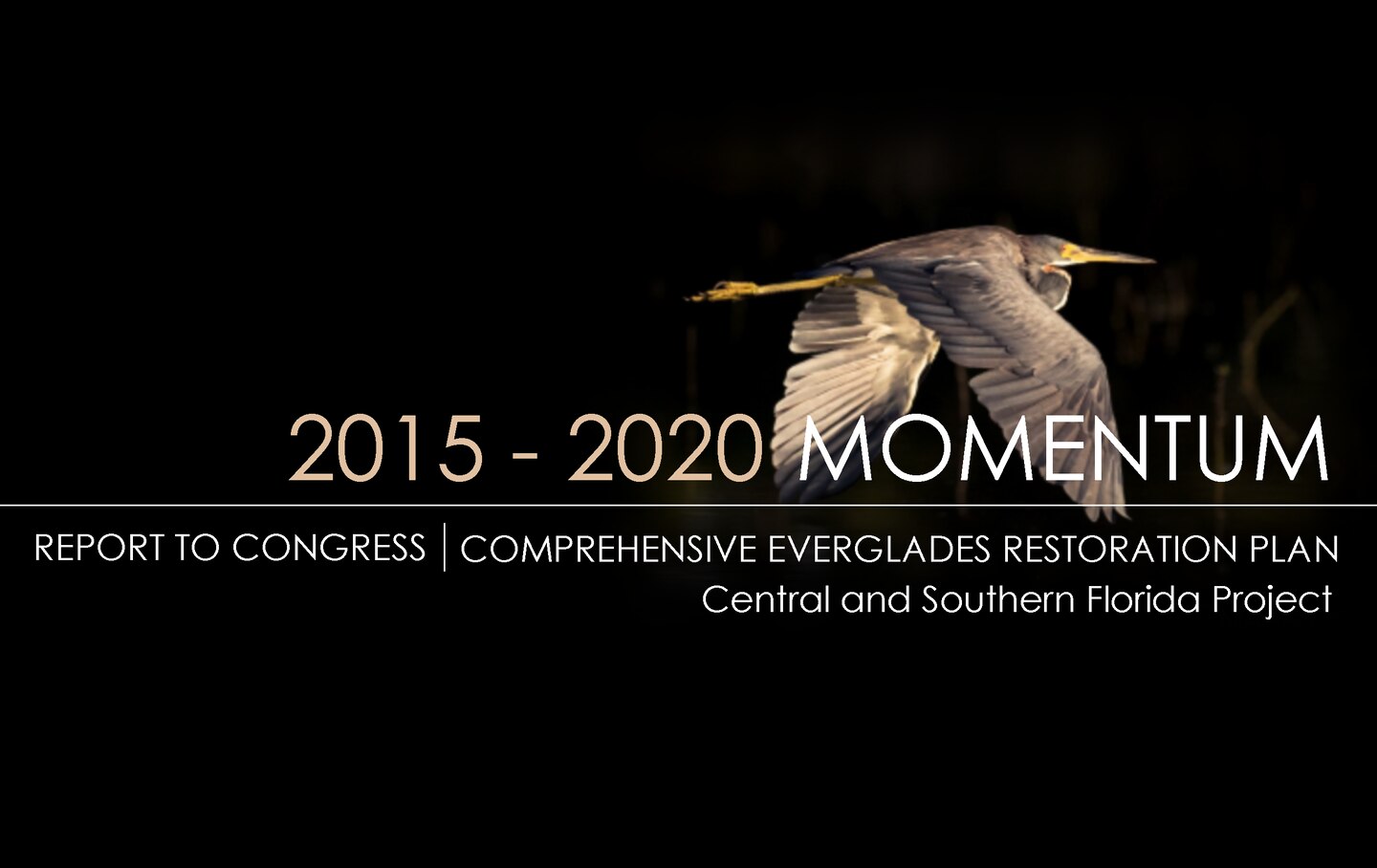 Cover image from the 2015-2020 Report to Congress regarding the Comprehensive Everglades Restoration Plan. This is the fourth such report jointly submitted by the Secretaries of the Army and Interior as required in the 2000 Water Resources Development Act.