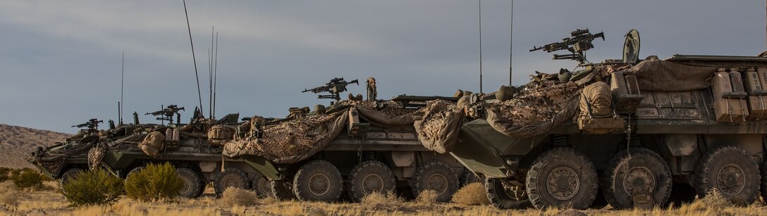 U.S. Marines with B Company, 3rd Light Armored Reconnaissance Battalion, 1st Marine Division, hold a defensive position in light armored vehicles during exercise Steel Knight/Dawn Blitz 21 (SK/DB 21) at Marine Air Ground Combat Center, Twentynine Palms, California, Dec. 8, 2020. Exercise SK/DB 21 provides effective and intense training in an expeditionary environment to ensure 1st Marine Division remains lethal, combat-ready, interoperable, and deployable on short notice. (U.S. Marine Corps photo by Lance Cpl. Quince Bisard)