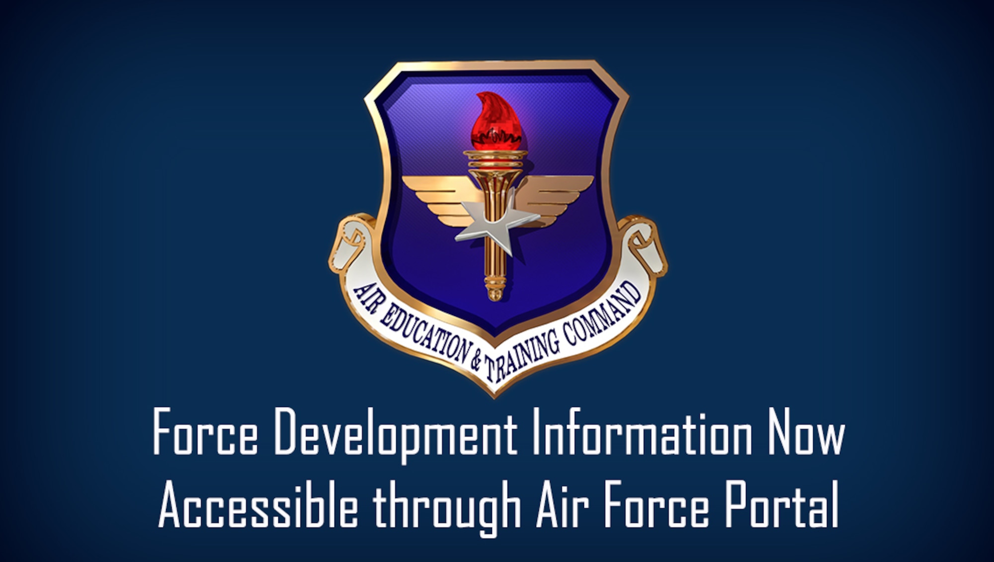 air force portal assignments