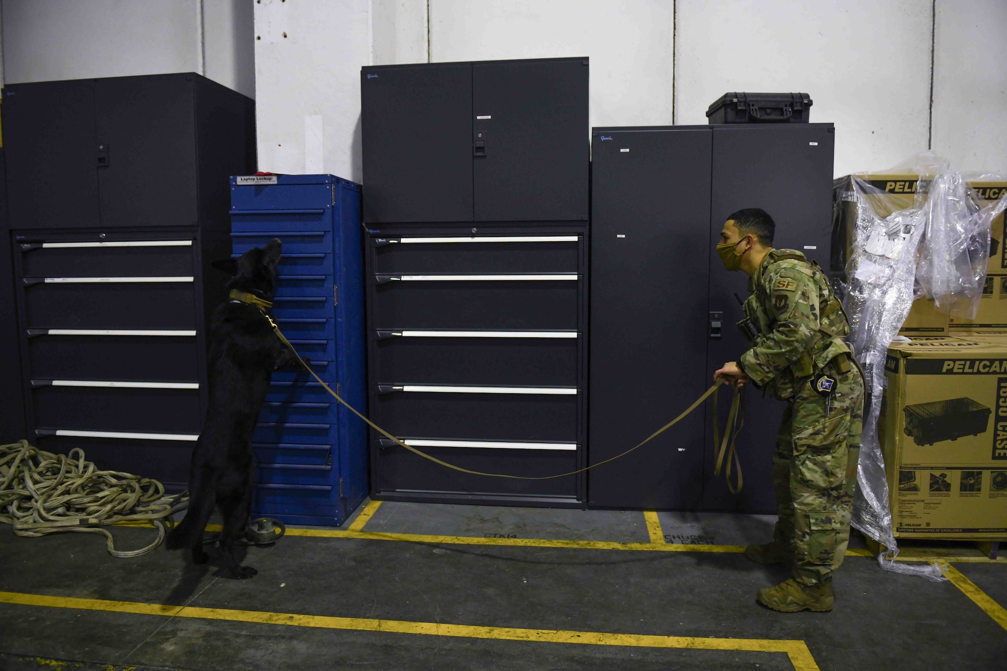 Senior Airman Daniel Martinez, 31st Security Forces Squadron military working dog handler and his K-9 counterpart, Tibi, train at Aviano Air Base, Italy, Jan. 4, 2021. MWDs are trained to detect harmful materials to keep military installations, assets and personnel safe. MWDs are tasked with searching vehicles entering the base to search for illegal contraband. (U.S. Air Force photo by Senior Airman Ericka A. Woolever)