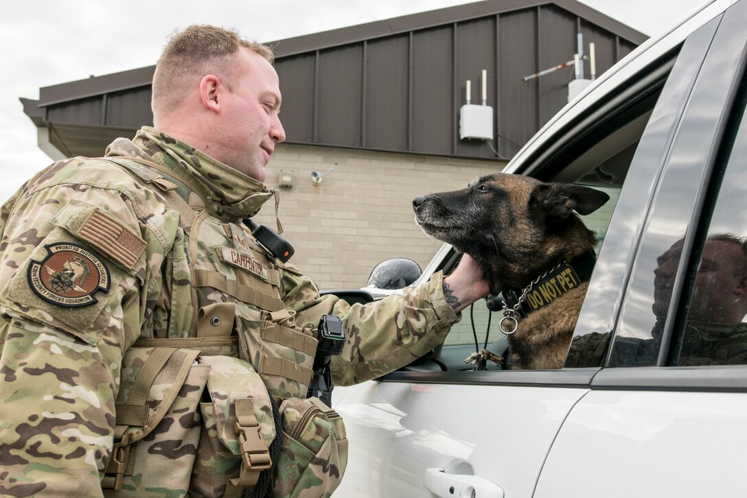 An airman pats a military working dog sitting in the driver's seat of a parked car with its head out the open window.