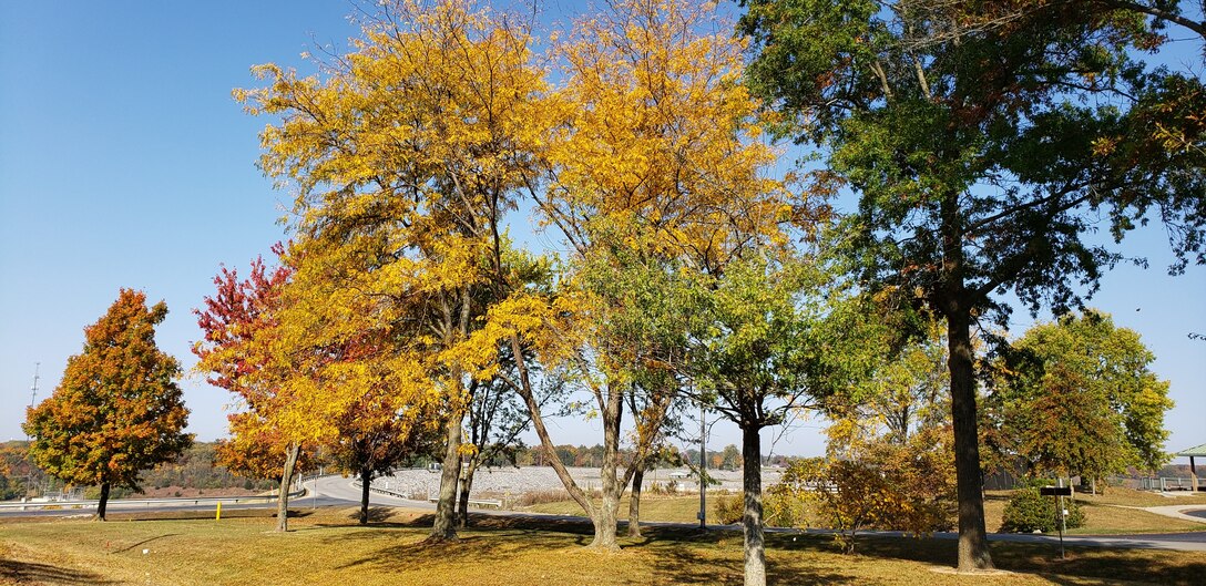 Fall colors in full swing at Lake Shelbyville