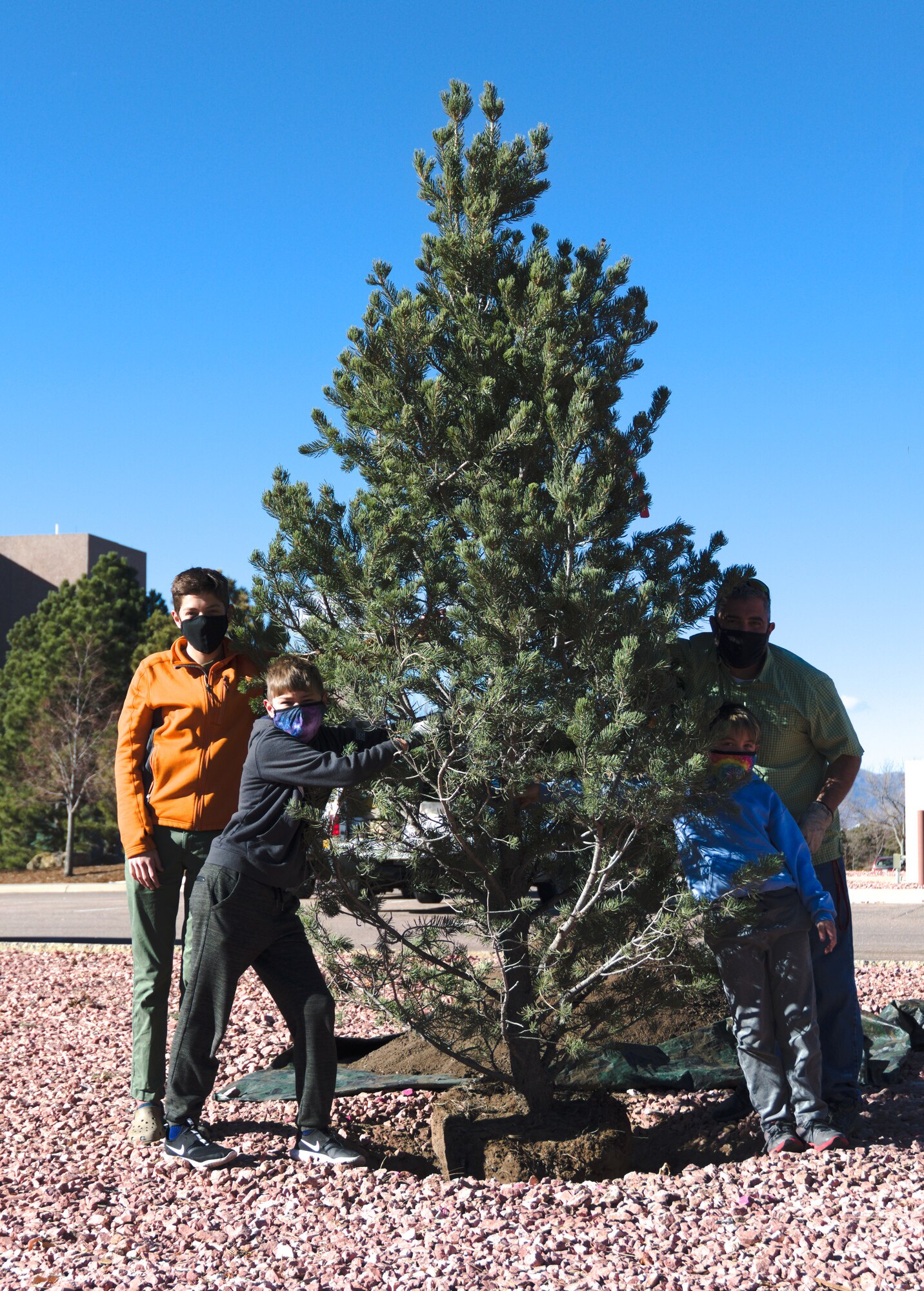 Tree planting