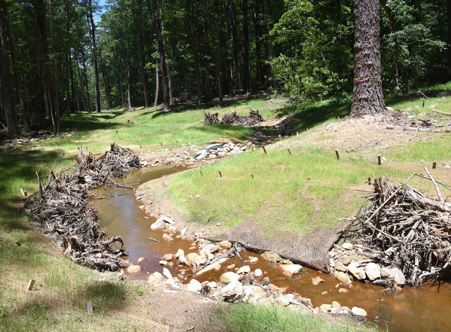 The Virginia National Guard’s Maneuver Training Center Fort Pickett took third place honors in the Natural Resources category of the Fiscal Year 2020 Army National Guard Environmental Security Awards