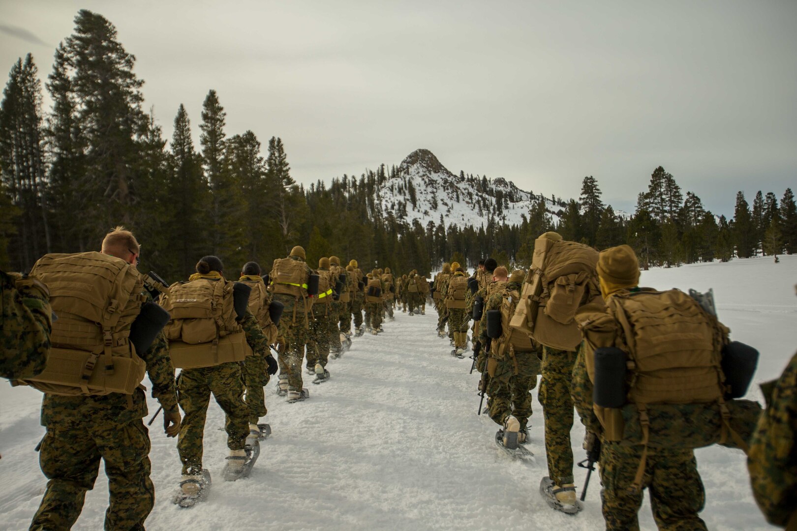 Image of Marines hiking through the snow in the mountains.