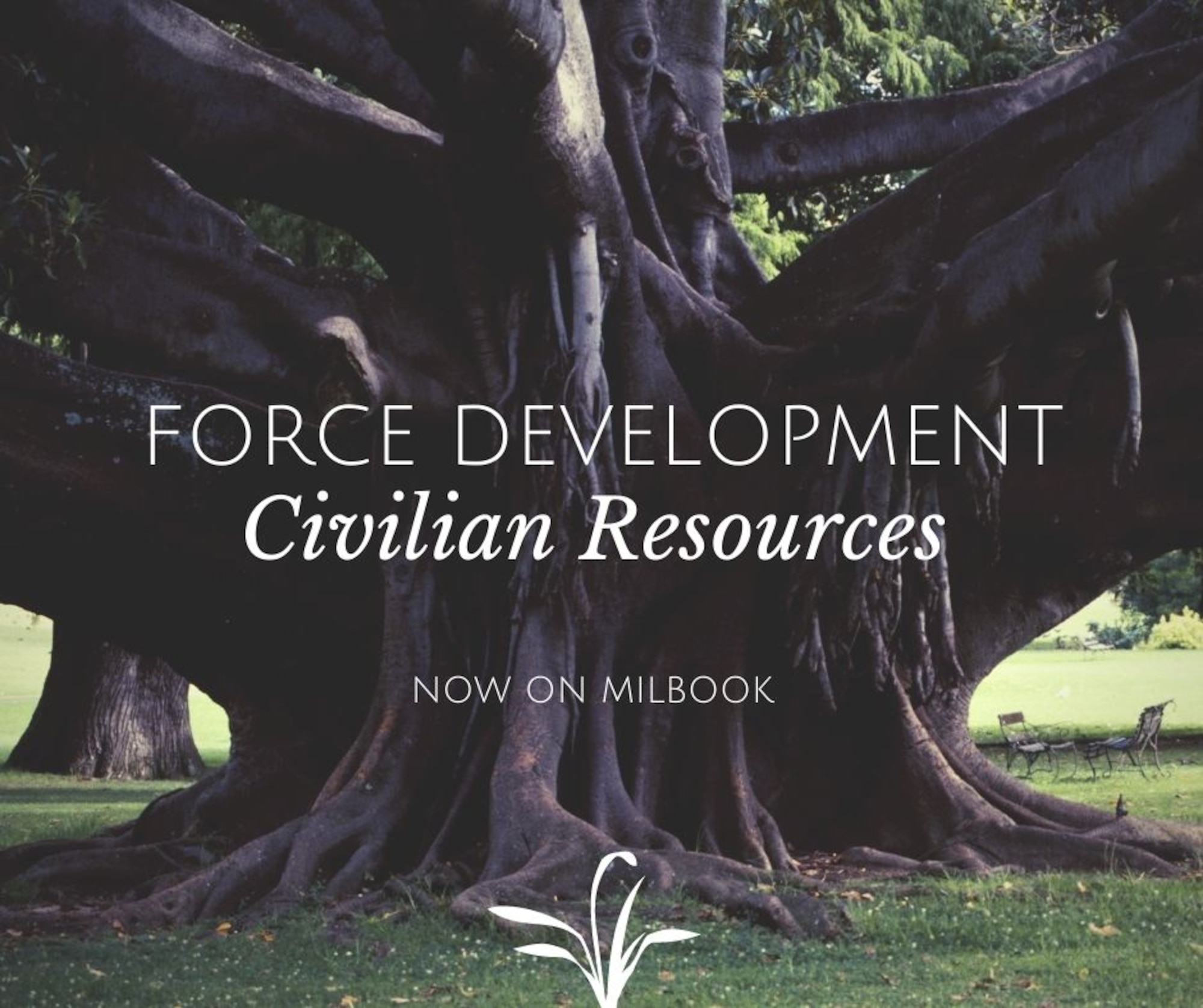 Graphic for civilian force development resources