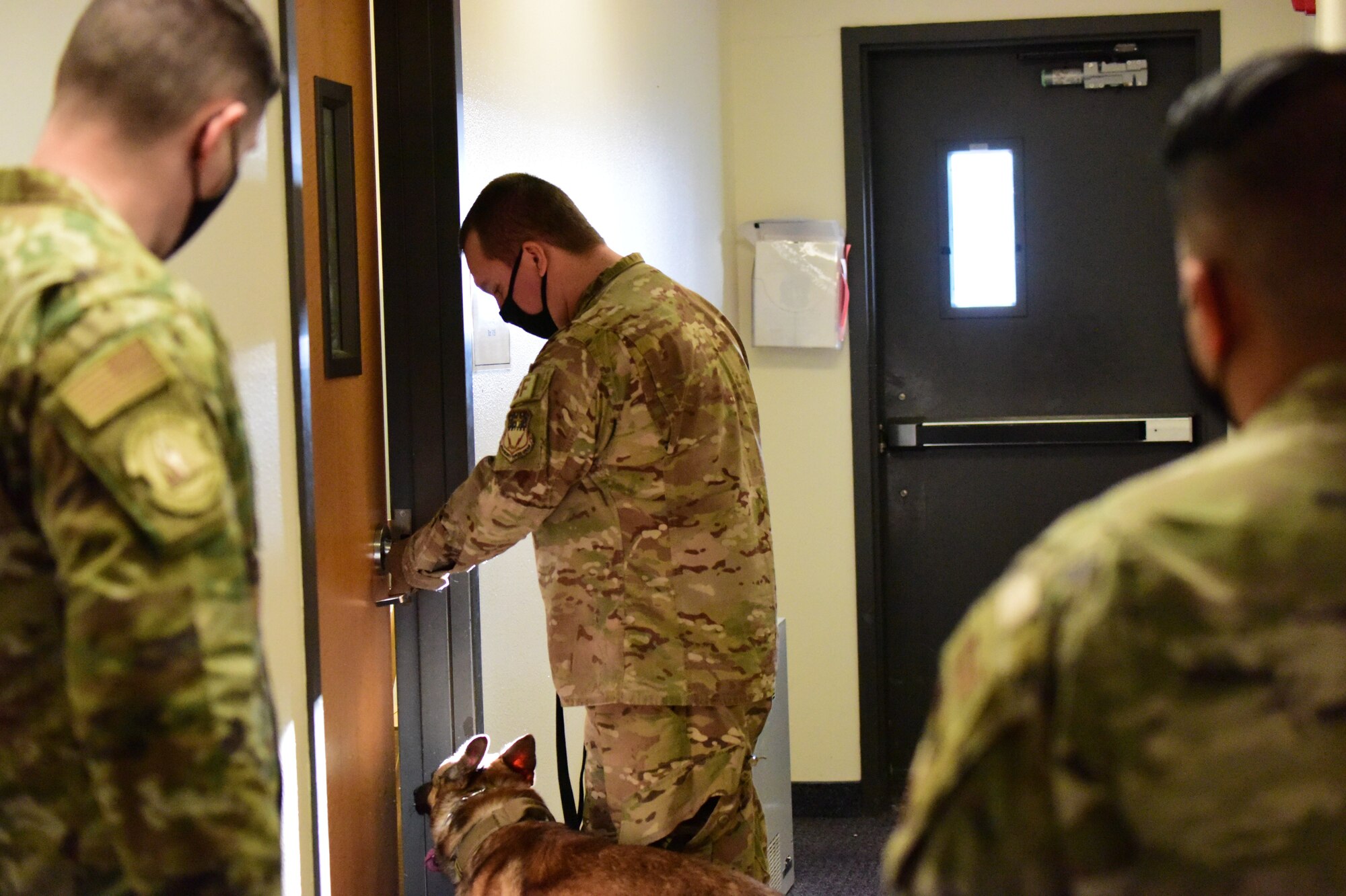 Staff Sgt. Christopher Hotine, 341st Security Forces Squadron military working dog handler, and his partner MWD Kay, prepare to enter a room during a drug detection certification evaluation, Jan. 14, 2021 at the Chapel on Malmstrom Air Force Base, Mont.