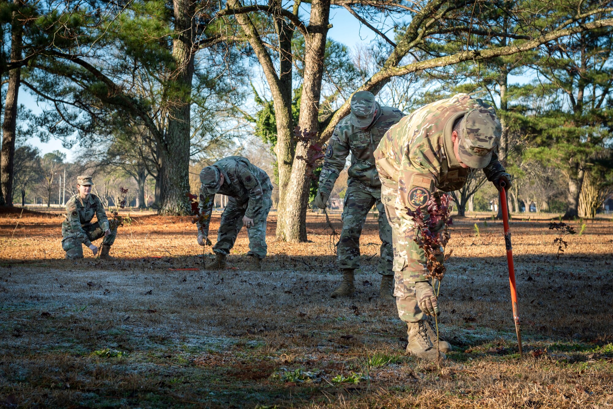 Col. Anthony Mullinax, 4th Mission Support Group commander (right), Chief Master Sgt. Shad Lochner, Mission Support Group command chief, Major Ted Ordeals, 4th Civil Engineer Squadron operation flight commander, 2nd Lieutenant Alice Cochran, 4th CES infrastructure optimization engineer, plant trees at Seymour Johnson Air Force Base, North Carolina, Jan. 13, 2021.